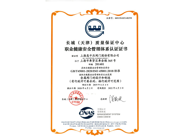 ISO 45001-2018 职业健康安全管理-中文证书